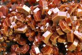 Top-Quality, Deep Red Vanadinite Crystals on Hematite - Morocco #291082-4